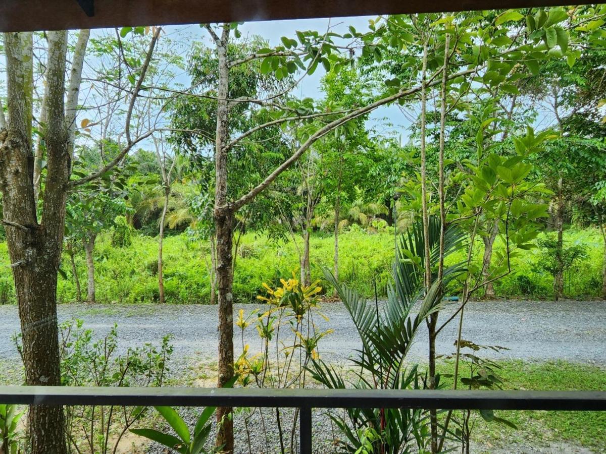 Suankafae Resort สวนกาแฟรีสอร์ท 수랏타니 외부 사진