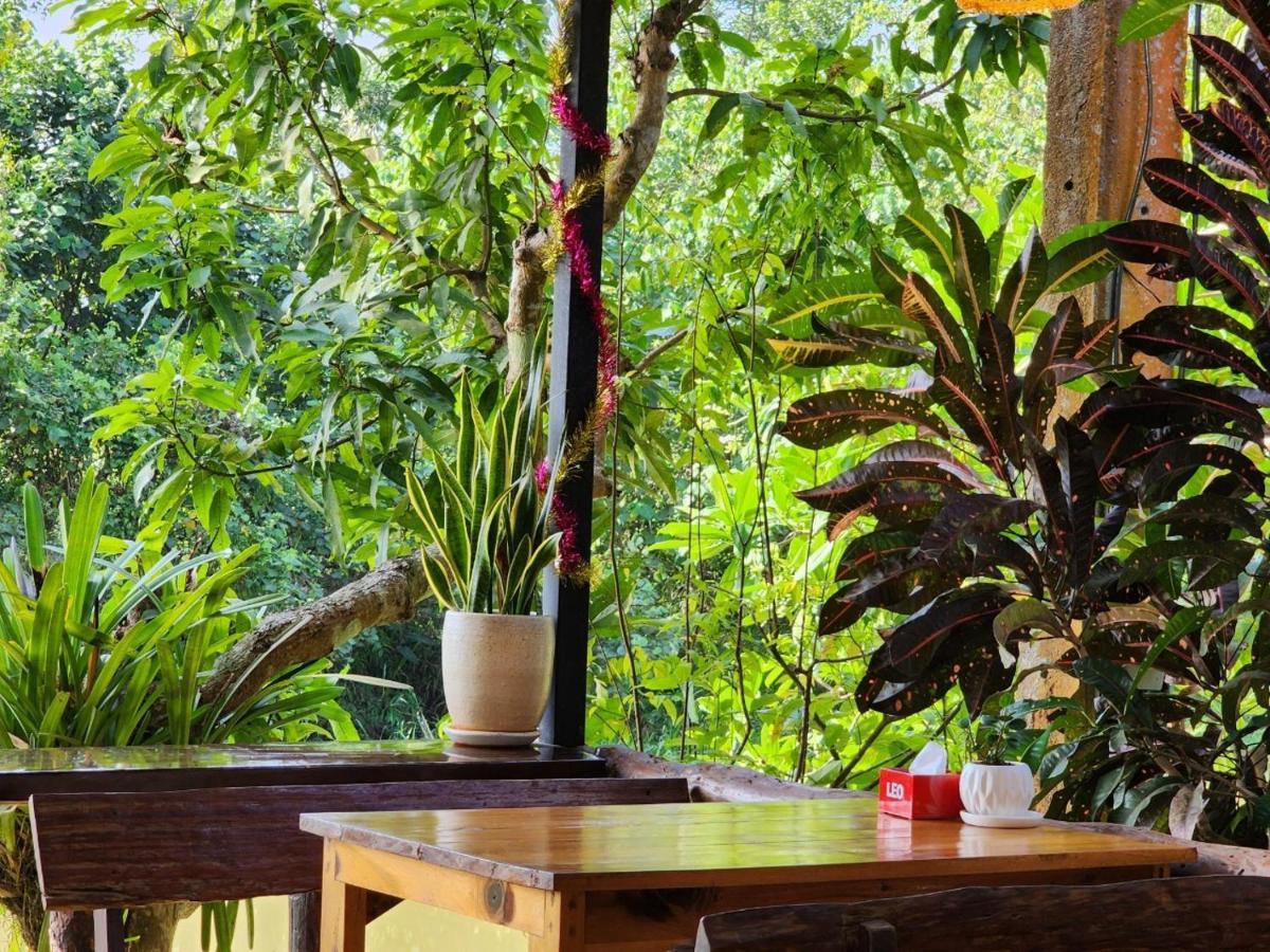Suankafae Resort สวนกาแฟรีสอร์ท 수랏타니 외부 사진