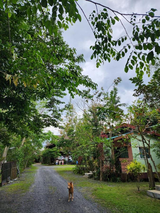 Suankafae Resort สวนกาแฟรีสอร์ท 수랏타니 외부 사진