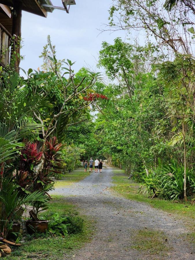 Suankafae Resort สวนกาแฟรีสอร์ท 수랏타니 외부 사진